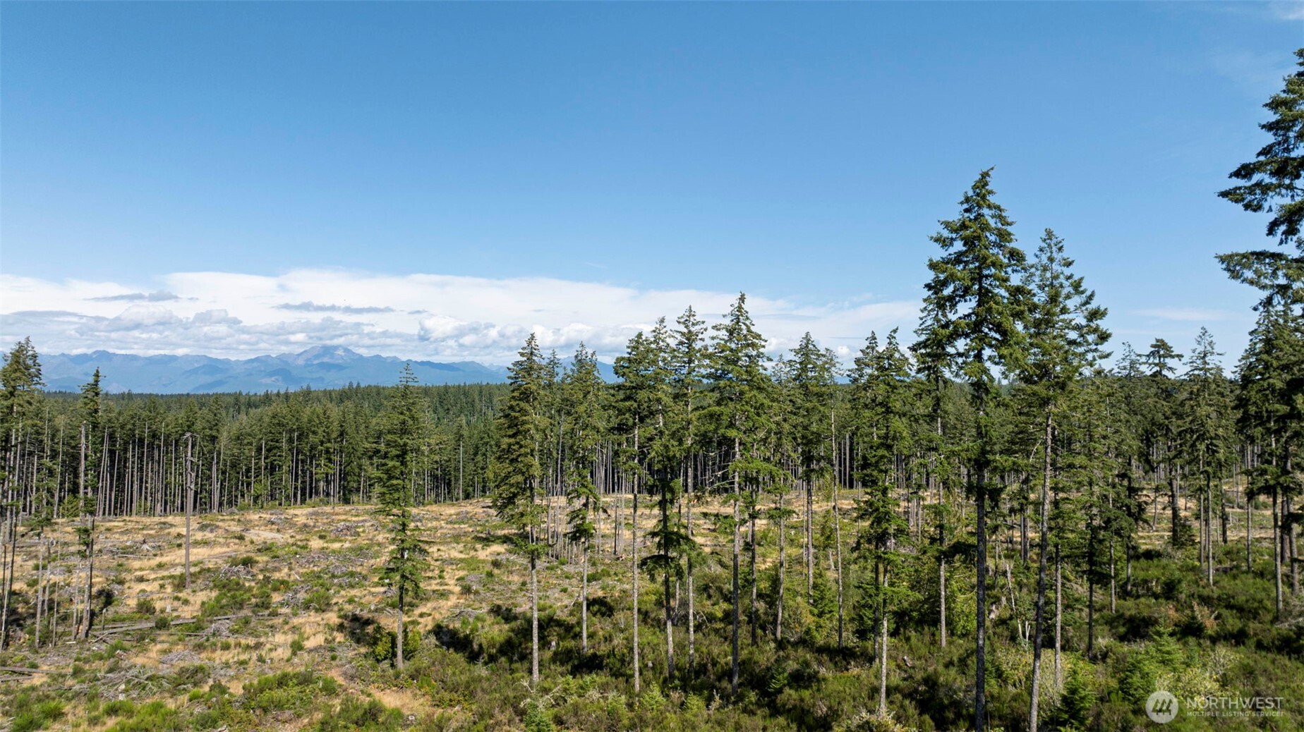 111 NE Ridgetop Court