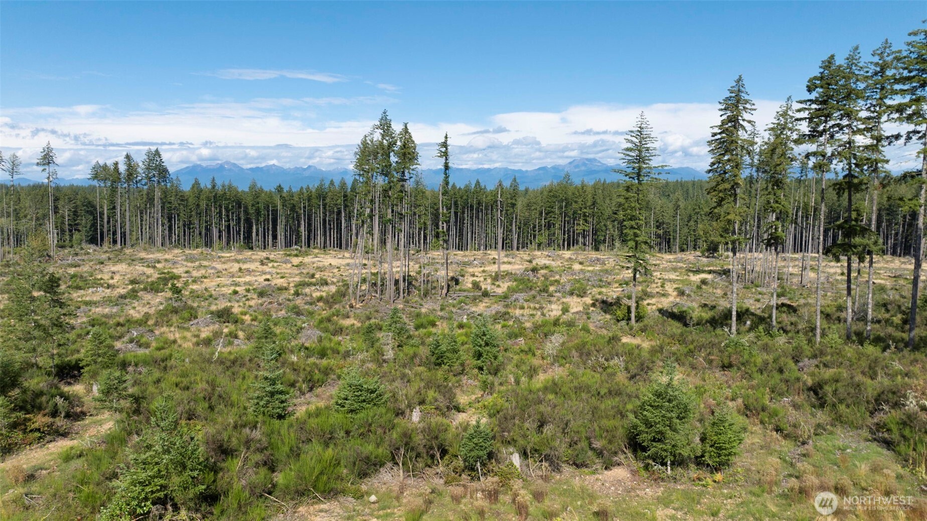 111 NE Ridgetop Court