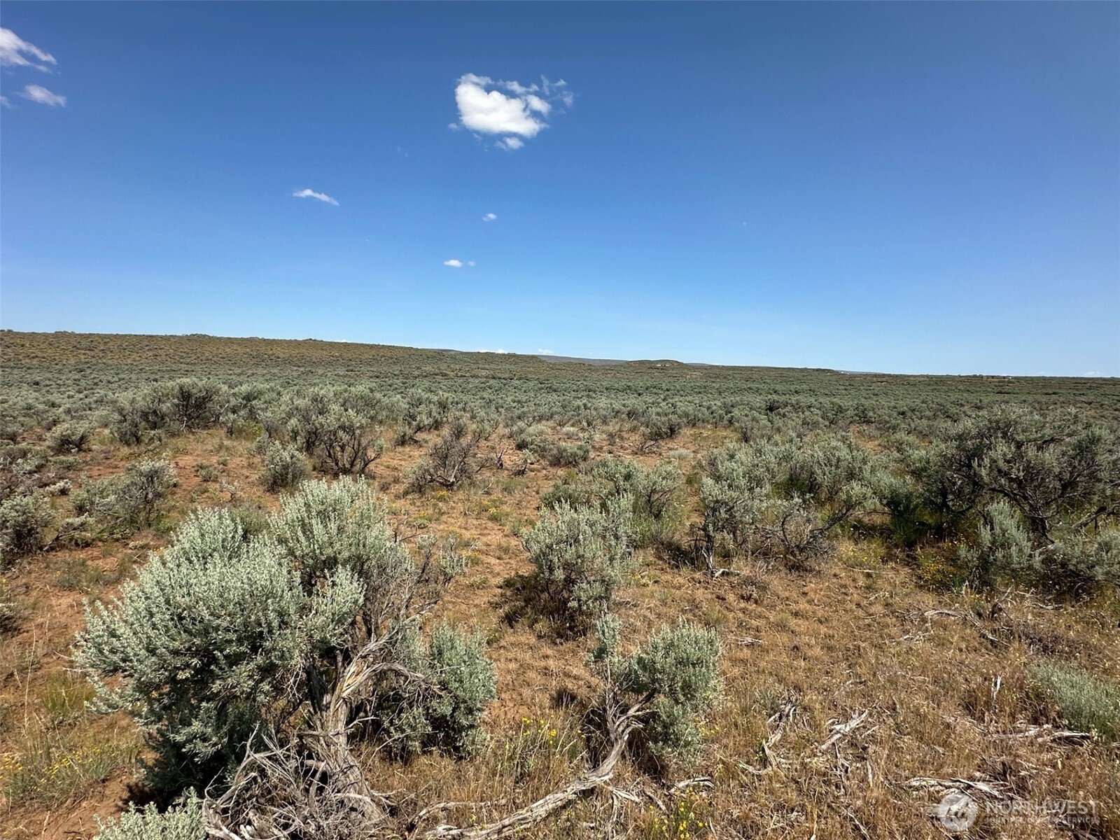 5202 Texas Loop