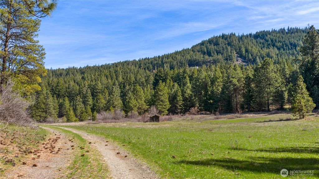 Photo of 32 Thornton Creek Lane, Cle Elum, WA 98922 (MLS # 2509797)