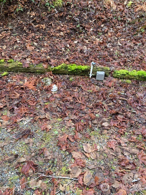 100 N Dow Mountain Drive