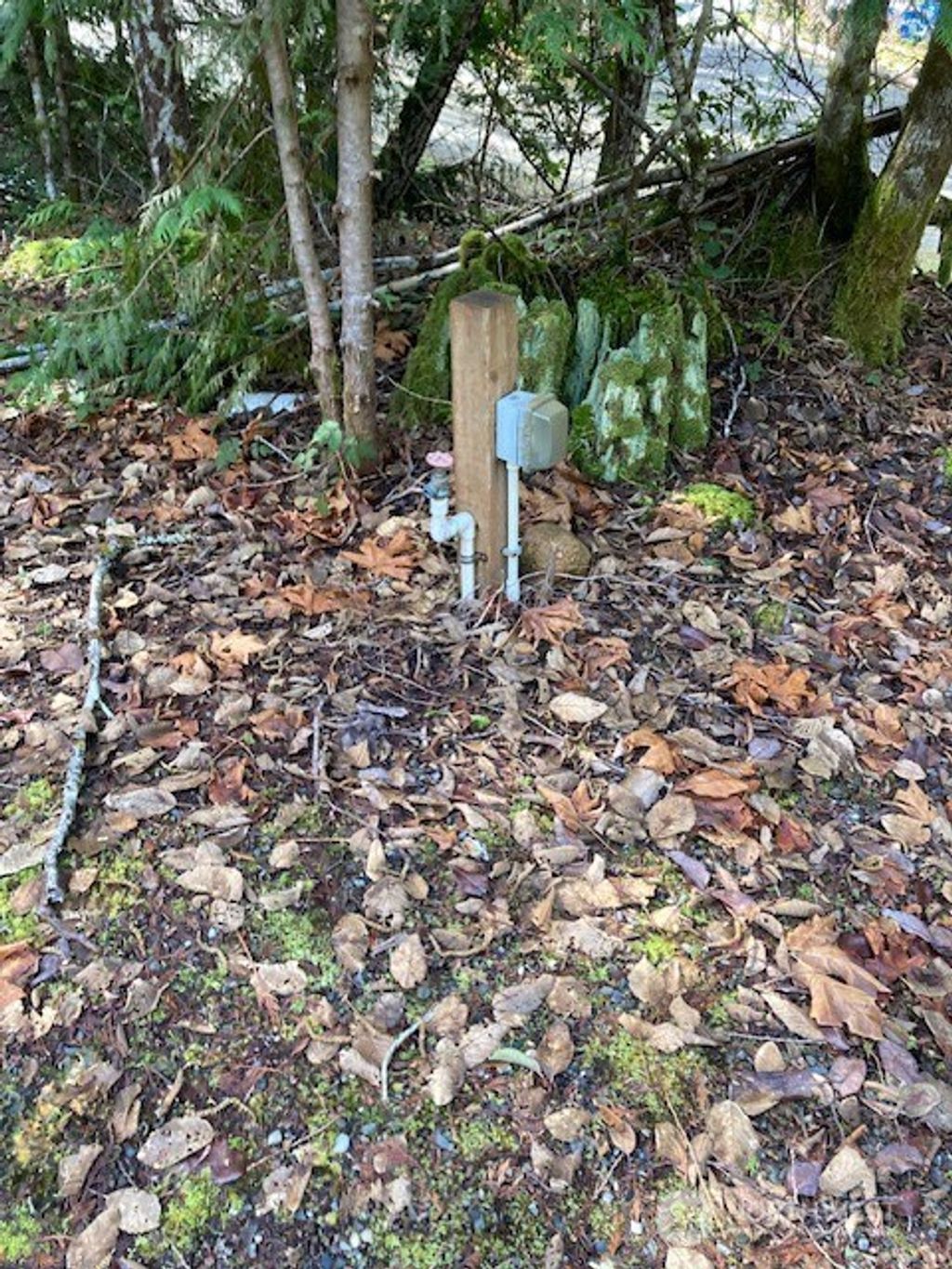 Photo of 100 N Dow Mountain Drive, Hoodsport, WA 98548 (MLS # 2521183)