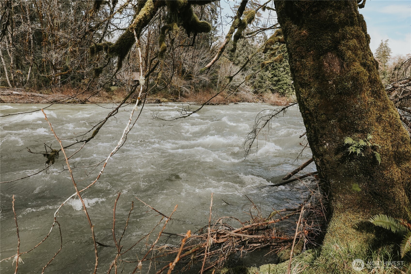 203503 Hwy 101