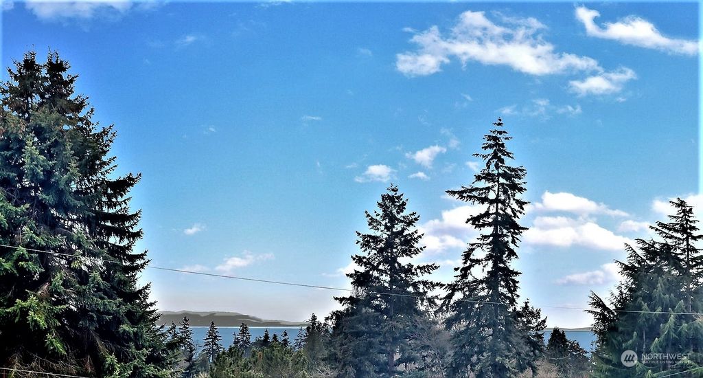 Photo of 20411 16th Place NW, Shoreline, WA 98177 (MLS # 2045637)