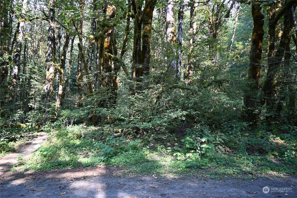 Photo of 10048 Foss River Place NE, Skykomish, WA 98288 (MLS # 2277516)