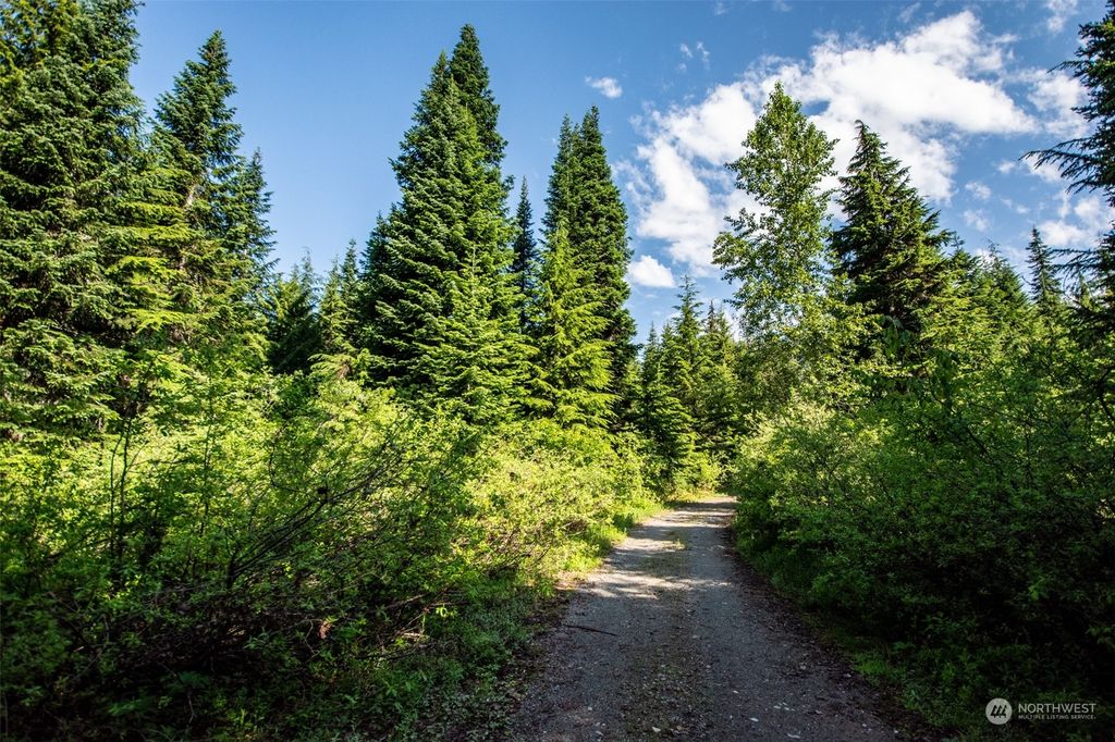 Photo of 50 parcels Snowshoe Lane, Snoqualmie Pass, WA 98068 (MLS # 2131862)