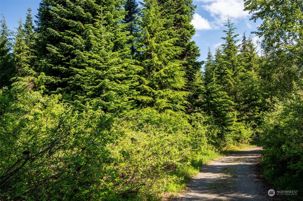 Photo of 50 parcels Snowshoe Lane, Snoqualmie Pass, WA 98068 (MLS # 2131862)