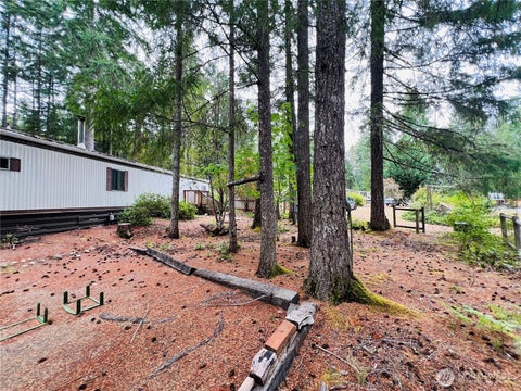 Photo of 71 N Buckhorn Way, Hoodsport, WA 98548 (MLS # 2574468)