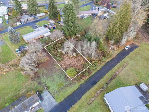 1 Roosevelt Street Mineral WA 98355