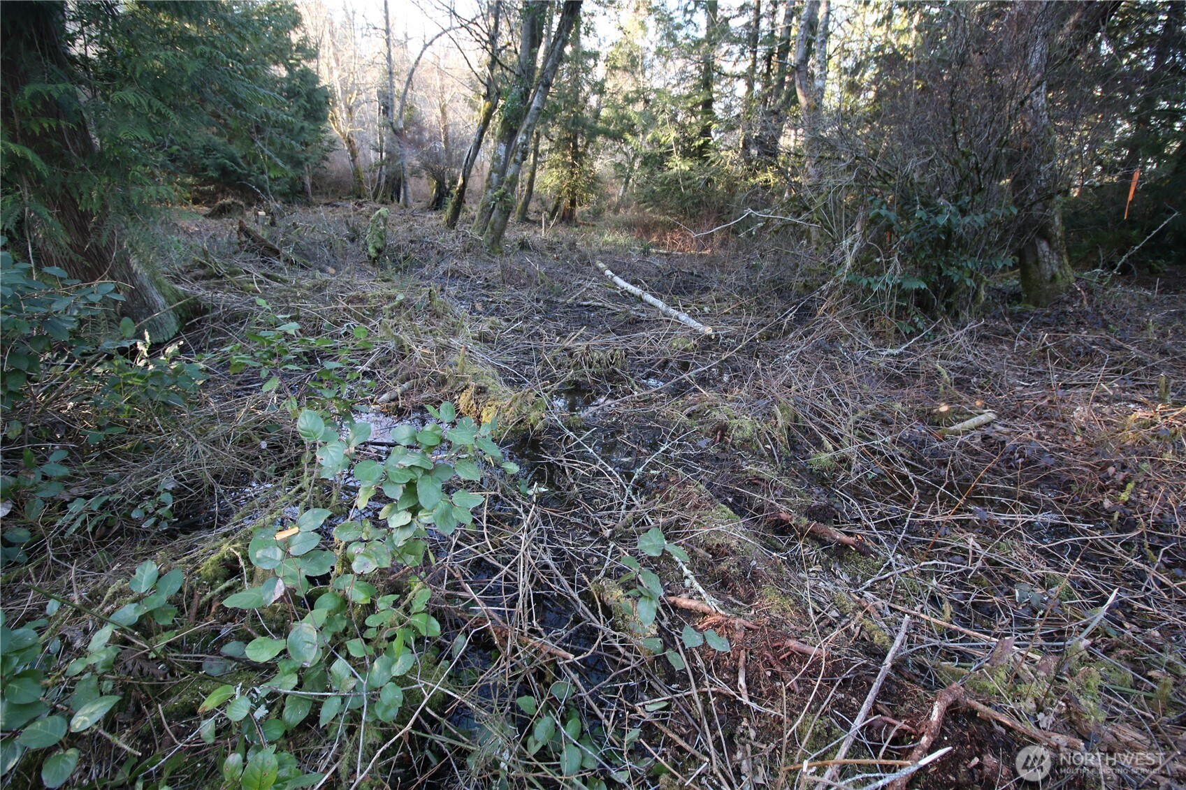 0 91st Ave SW