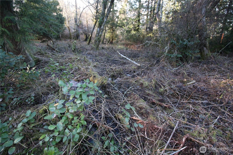 0 91st Ave SW