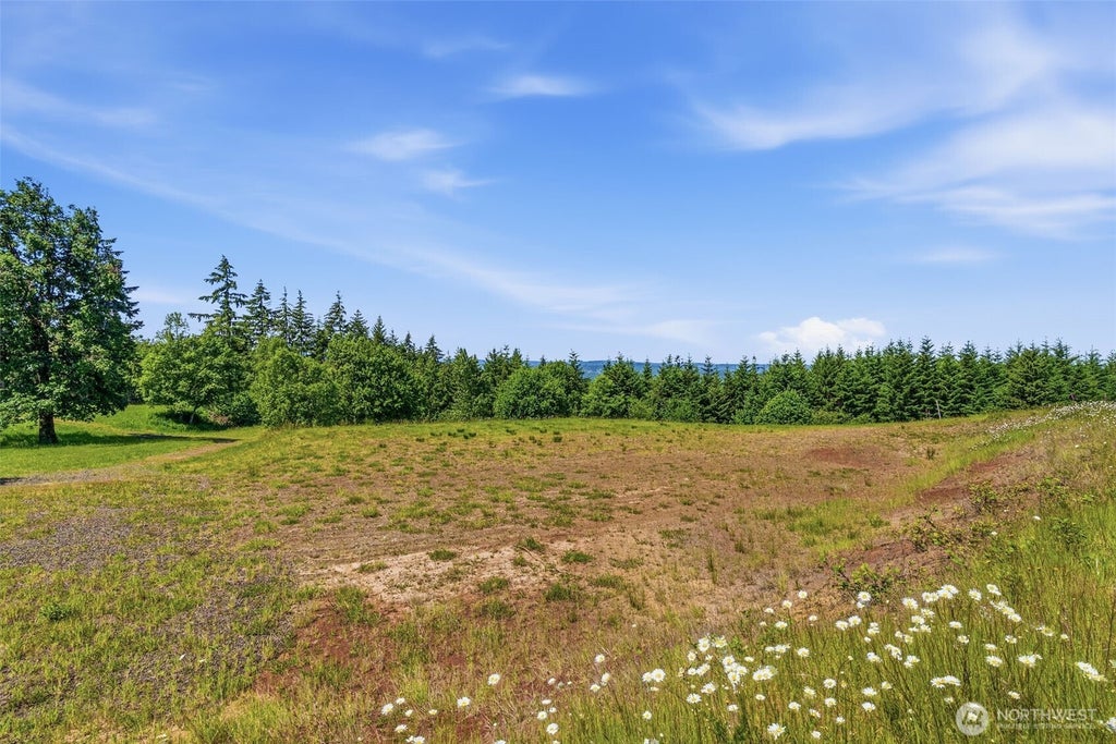 Photo of 830 Confer Road, Kalama, WA 98625 (MLS # 2533448)