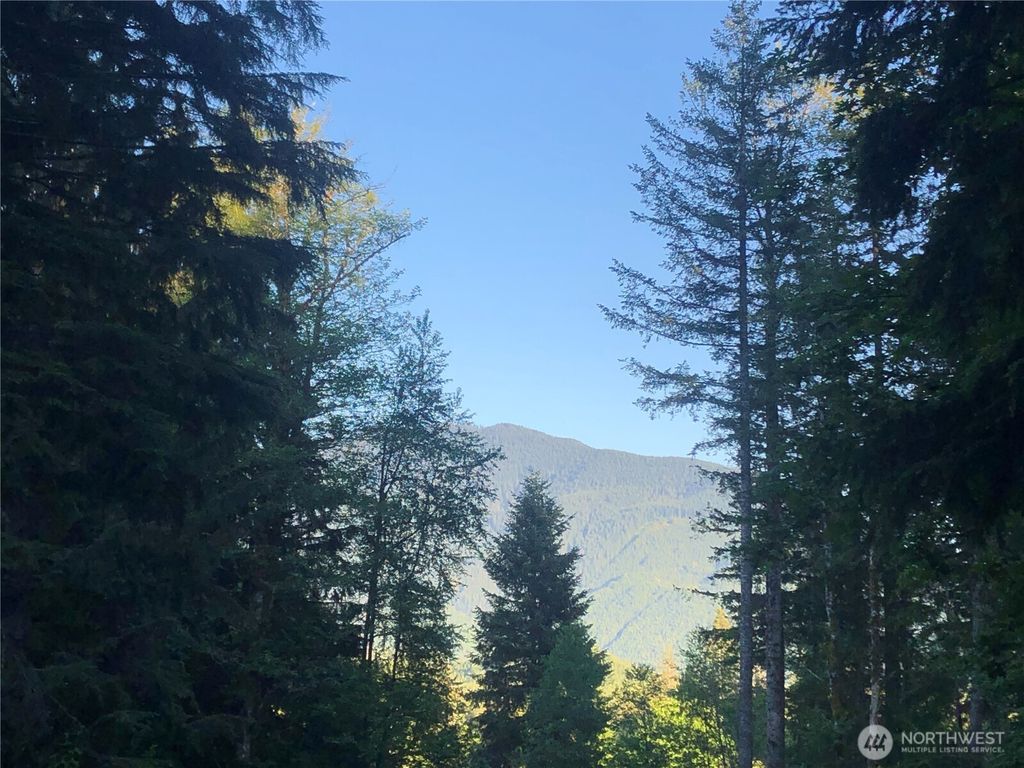 Photo of 31704 Mount Tahoma Canyon Road, Ashford, WA 98304 (MLS # 2495757)