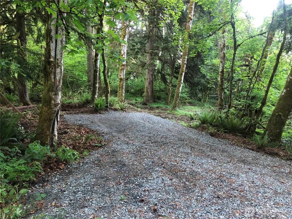 Photo of 31704 Mount Tahoma Canyon Road, Ashford, WA 98304 (MLS # 2495757)