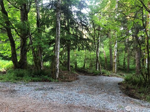 Photo of 31704 Mount Tahoma Canyon Road, Ashford, WA 98304 (MLS # 2495757)