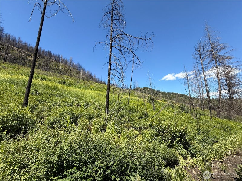 0 4th of July Creek Road