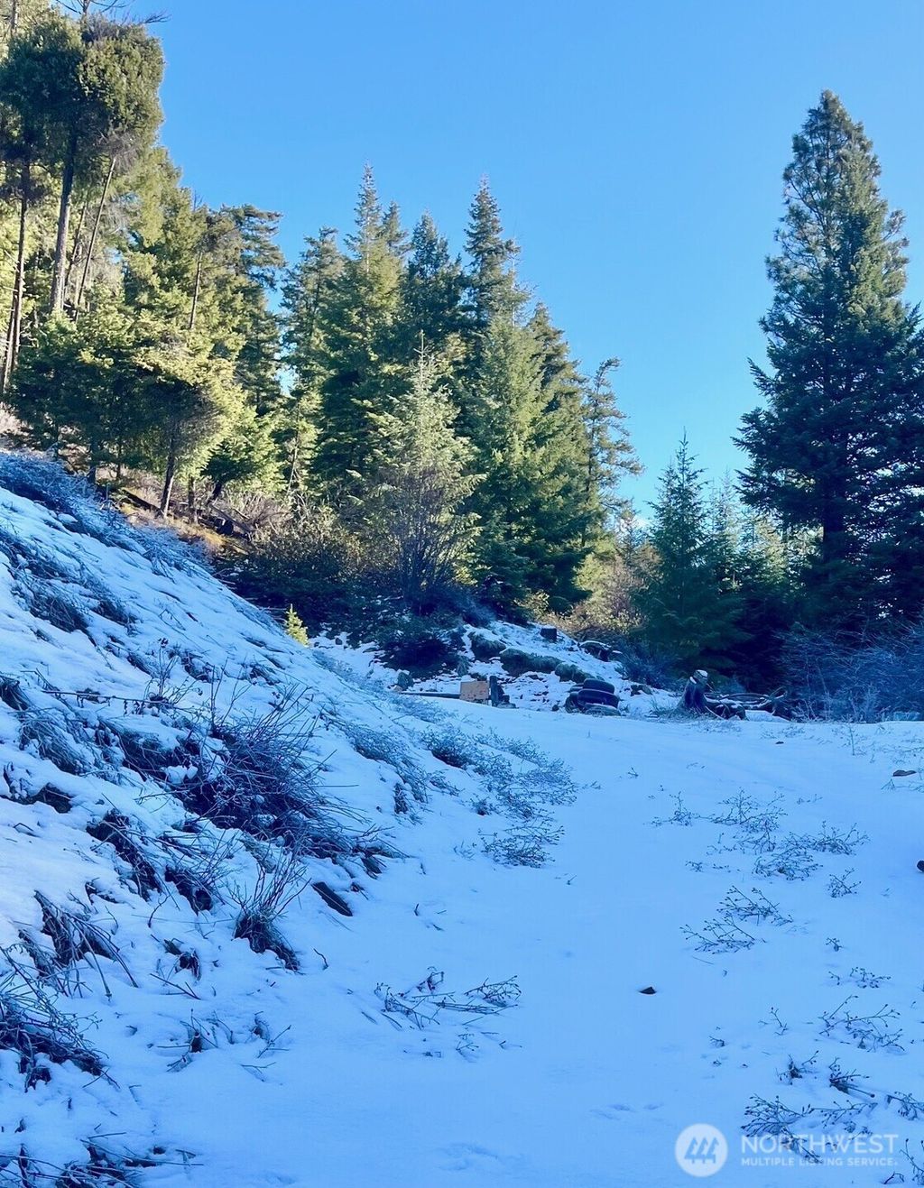 Photo of 0 Red Top Rd, Cle Elum, WA 98922 (MLS # 2510607)