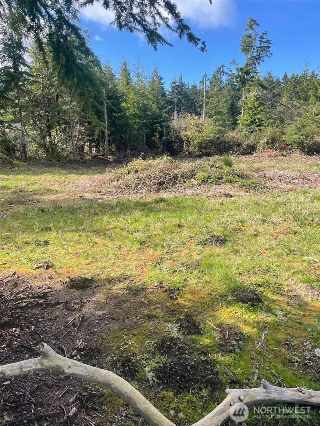 Photo of 20100 Crane Place, Ocean Park, WA 98640 (MLS # 2498181)