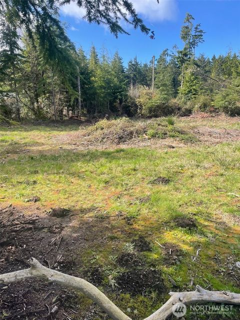 Photo of 20100 Crane Place, Ocean Park, WA 98640 (MLS # 2498181)