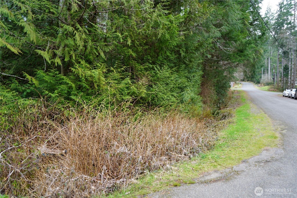 Photo of 321 E Ballycastle Way, Shelton, WA 98584 (MLS # 2586054)