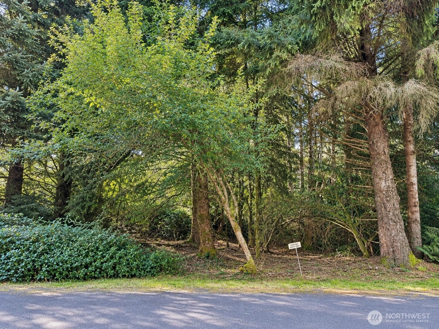339 Redwood Court SE