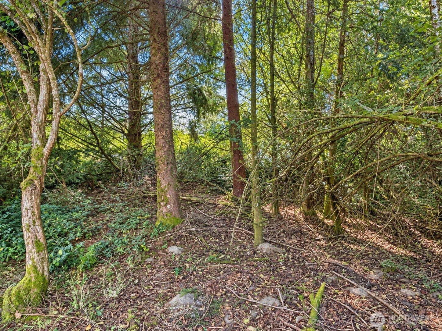 339 Redwood Court SE