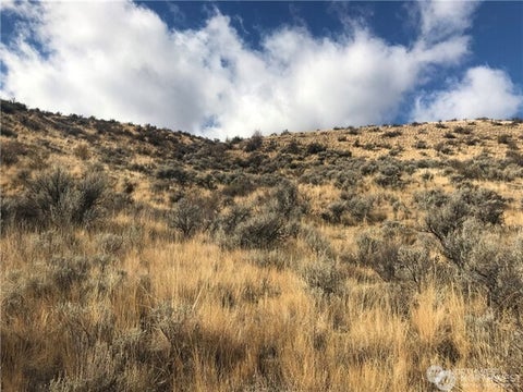 Photo of 0 Goldfish Gulch Road, Waterville, WA 98802 (MLS # 2584871)