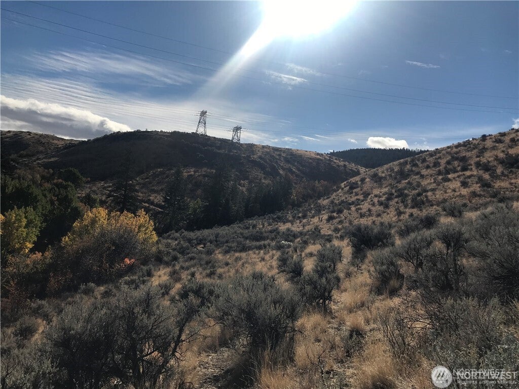 Photo of 0 Goldfish Gulch Road, Waterville, WA 98802 (MLS # 2584871)