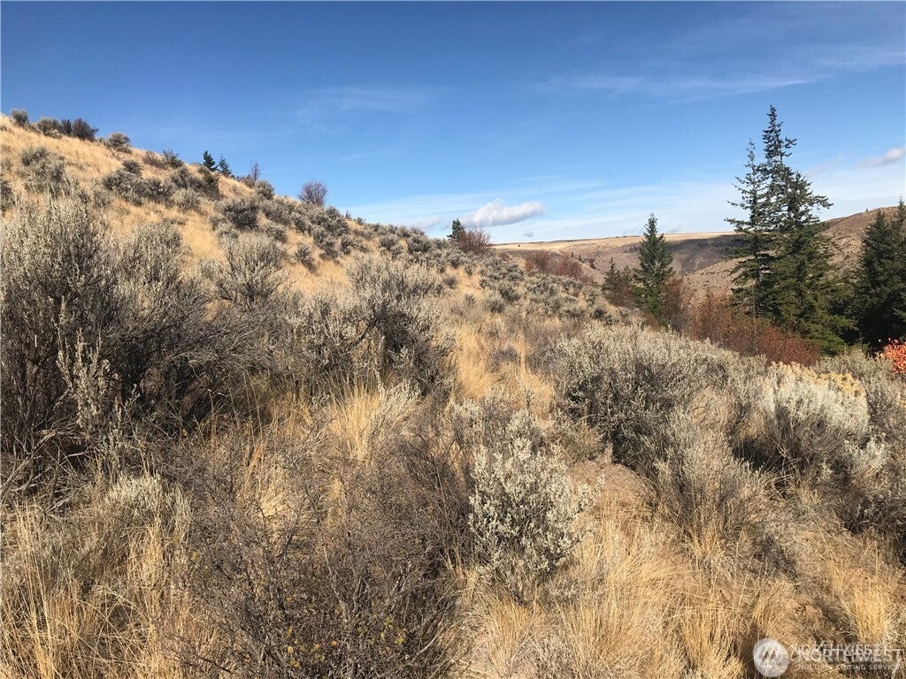 Photo of 0 Goldfish Gulch Road, Waterville, WA 98802 (MLS # 2584871)
