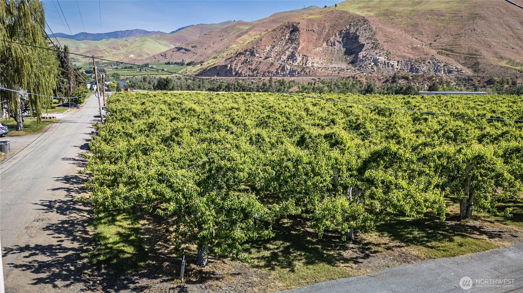 Photo of 3925 Strutzel Road, Monitor, WA 98836 (MLS # 2522217)