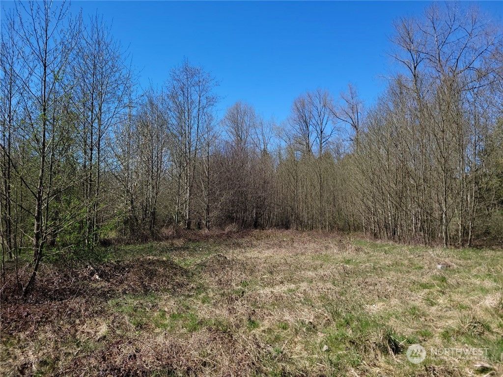 Photo of 5811 300th Street NW, Stanwood, WA 98292 (MLS # 2174220)