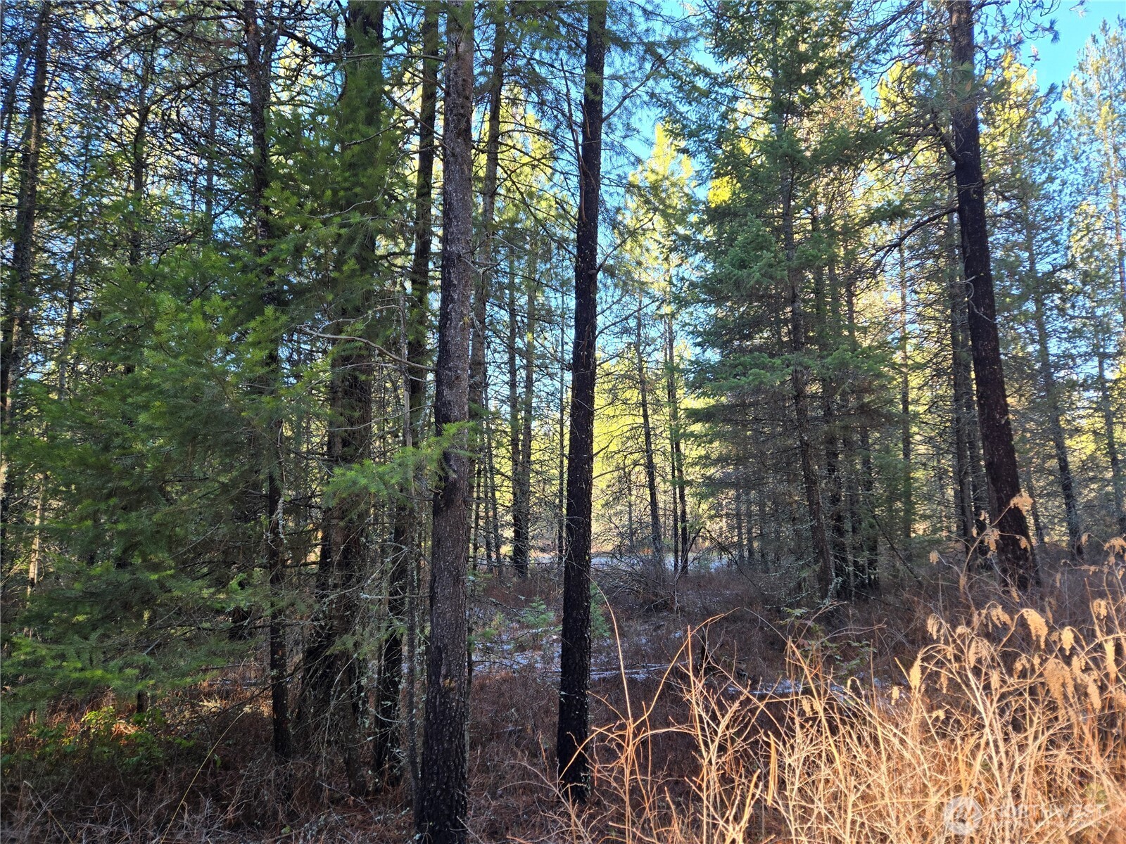 0 W Jump Off Joe Road