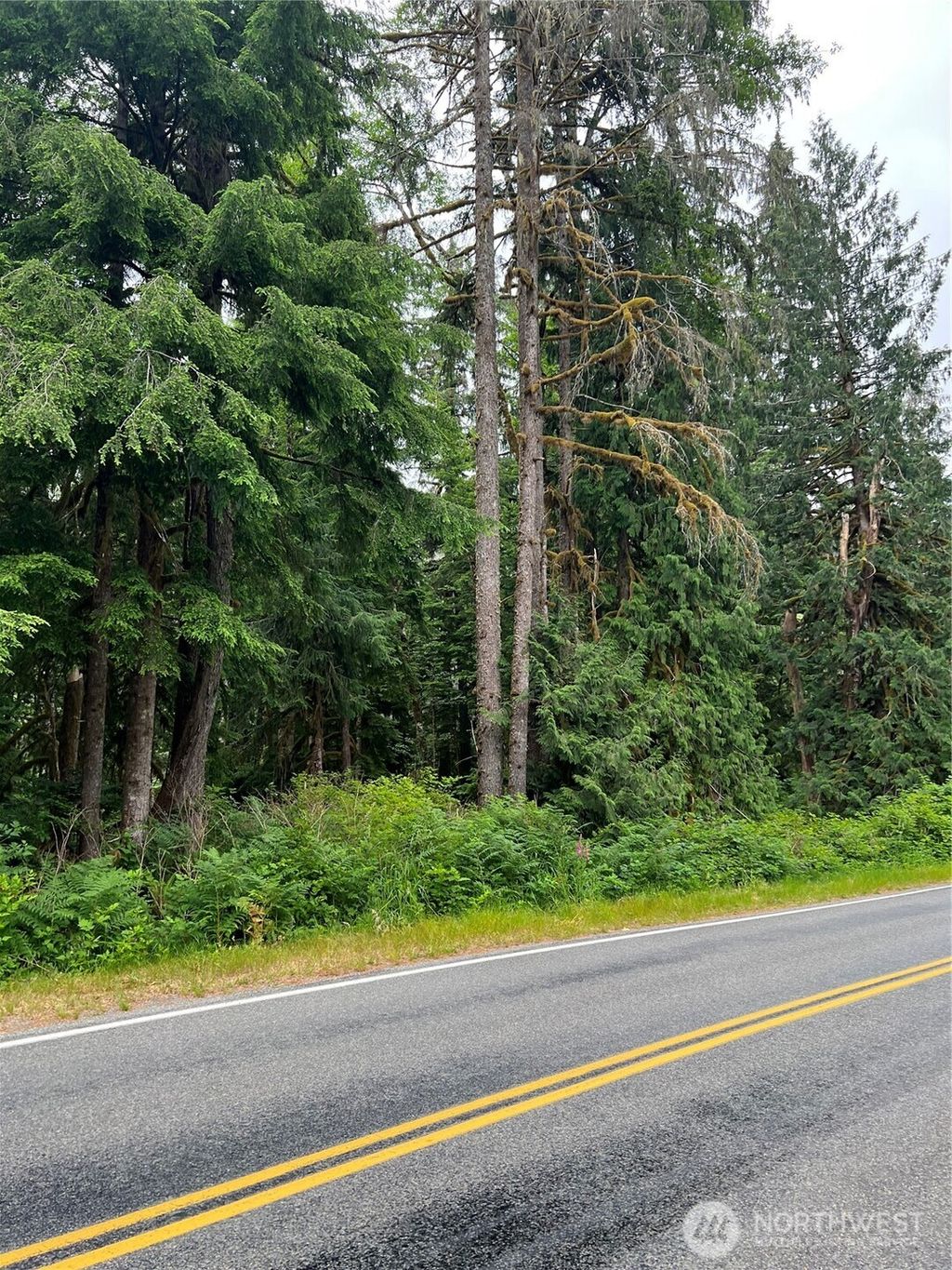 Photo of 0 Mountain Loop Highway, Granite Falls, WA 98252 (MLS # 2398429)
