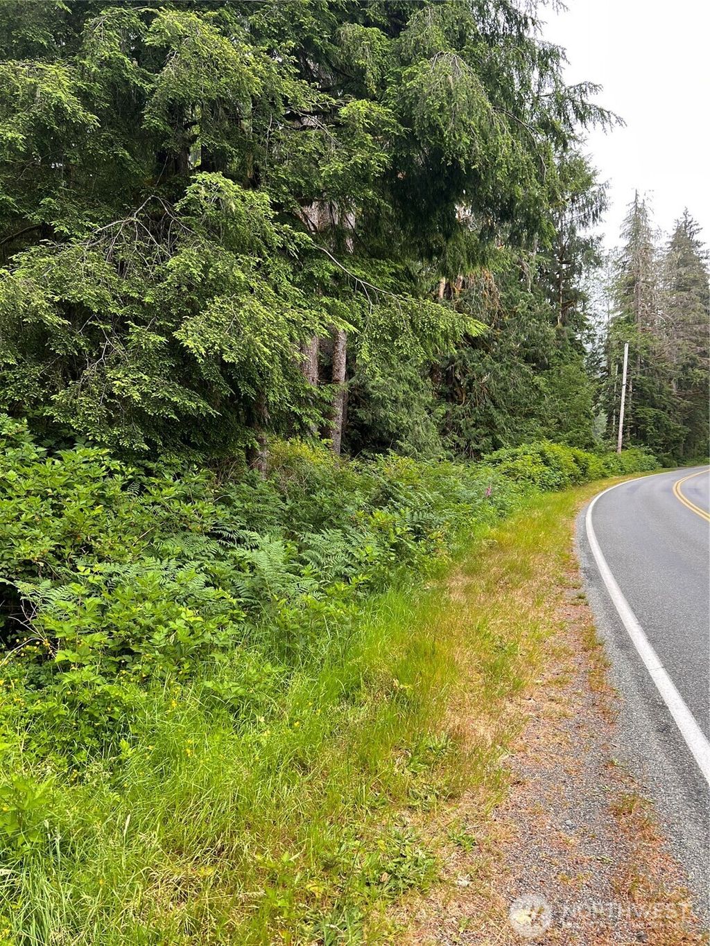Photo of 0 Mountain Loop Highway, Granite Falls, WA 98252 (MLS # 2398429)