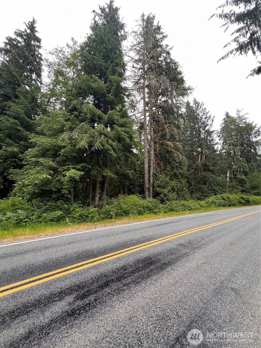 Photo of 0 Mountain Loop Highway, Granite Falls, WA 98252 (MLS # 2398429)