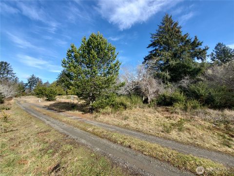 Photo of 0 N. Oysterville Rd @ Cmtry Rd, Oysterville, WA 98641 (MLS # 2332842)