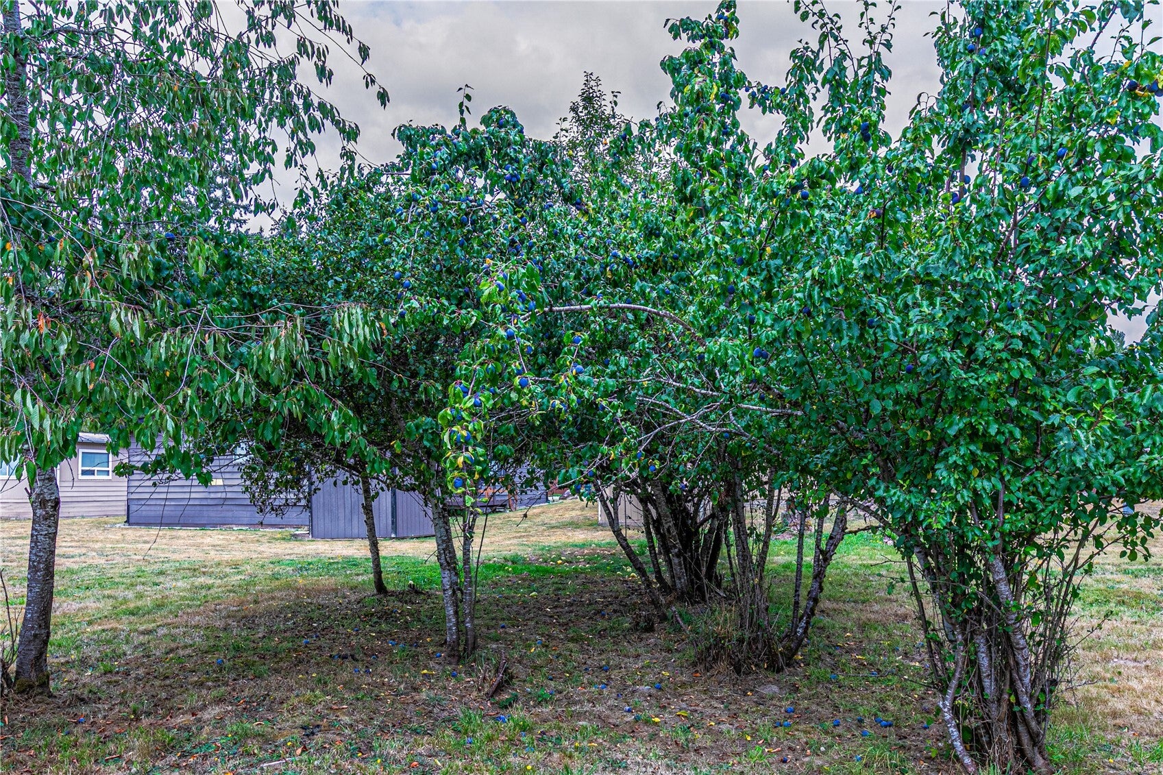 30114 E Orville Road