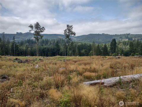 Photo of 0 Summit Lake Road, Olympia, WA 98502 (MLS # 2467855)