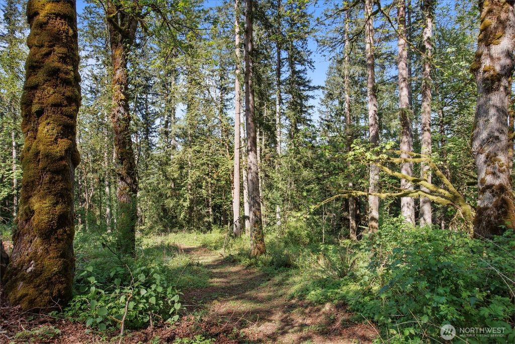 Photo of 29220 SE Issaquah - Fall City Road, Fall City, WA 98024 (MLS # 2380857)