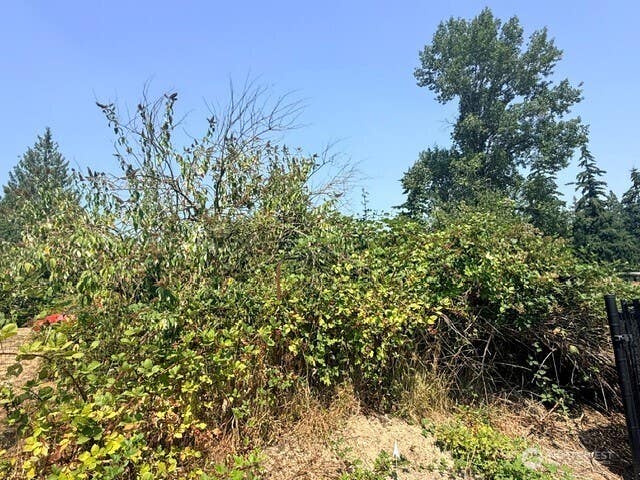 Photo of 0 50th Avenue S, Auburn, WA 98002 (MLS # 2564261)