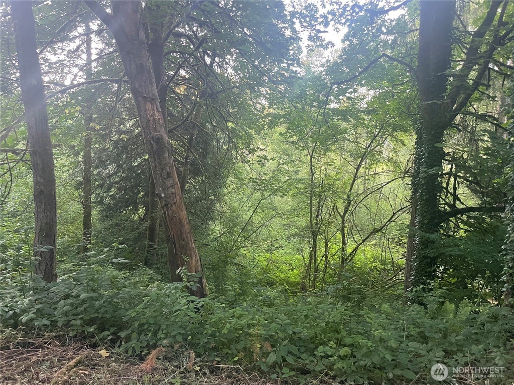 Photo of 0 NE 179th Street, Woodinville, WA 98072 (MLS # 2575300)