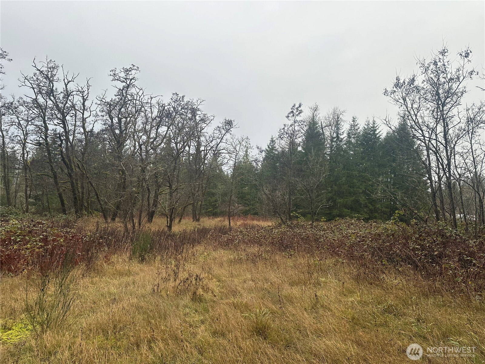 44606 Concrete Sauk Valley Road WA