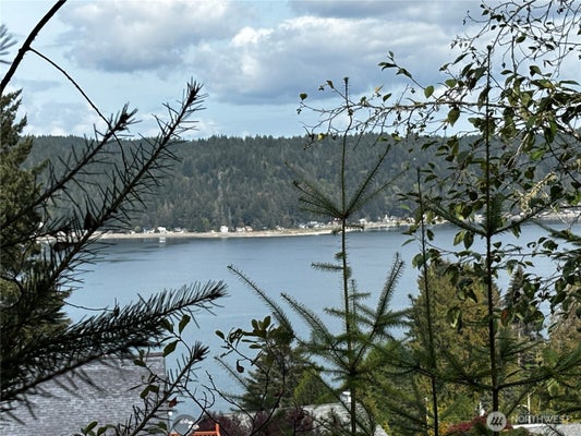 41 E GALLIANO DR, UNION, WA 98592 - Image c69d4f2fa2f656d943318d07ff15e62d/2086031772