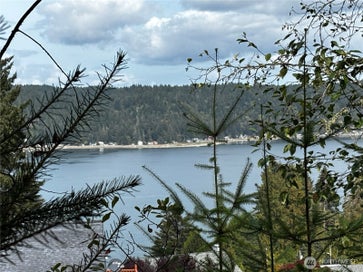 41 E Galliano Drive Union WA 98592