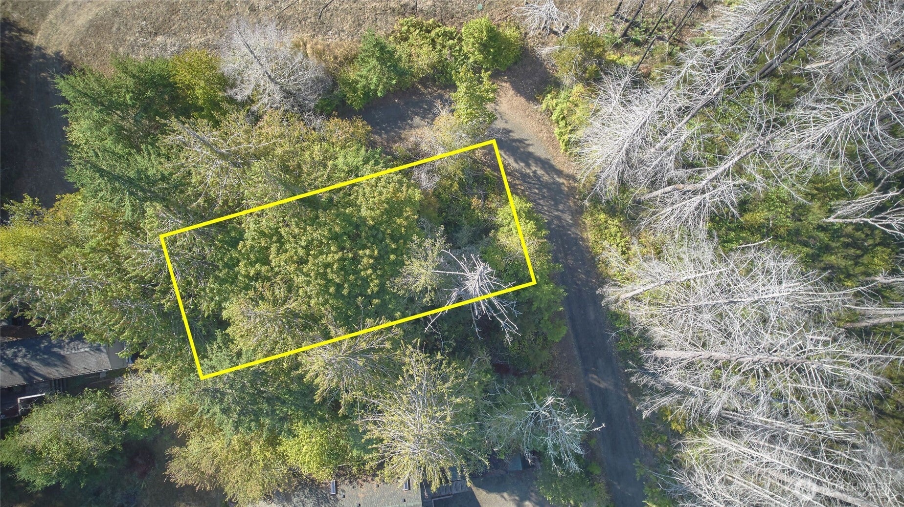 41 E Galliano Drive