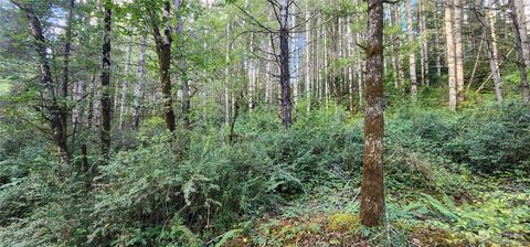 Photo of 1400 E Jensen Road E, Shelton, WA 98584 (MLS # 2289591)