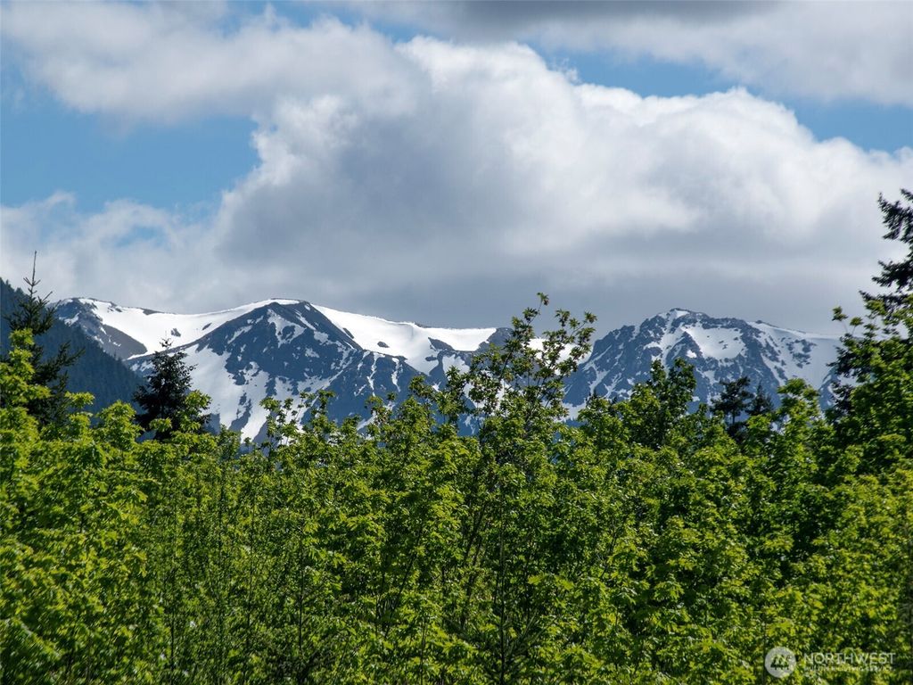 Photo of 9999 Kruse Road, Port Angeles, WA 98362 (MLS # 2521098)