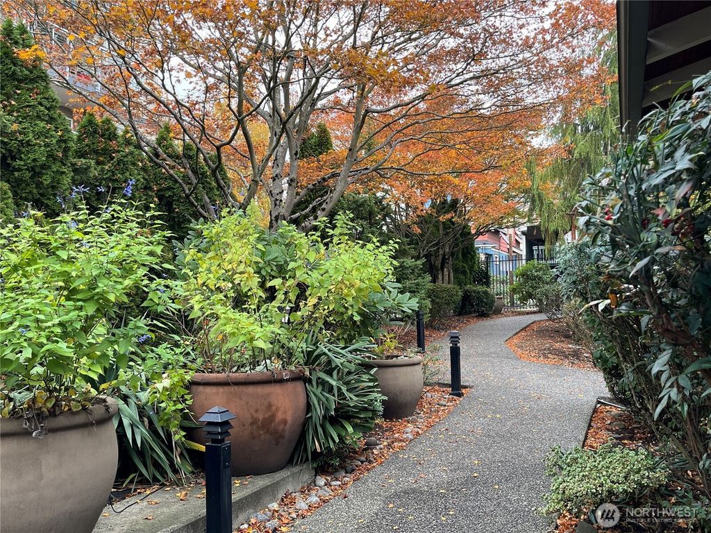 Photo of 1311 12th Avenue S #C104, Seattle, WA 98144 (MLS # 2452016)