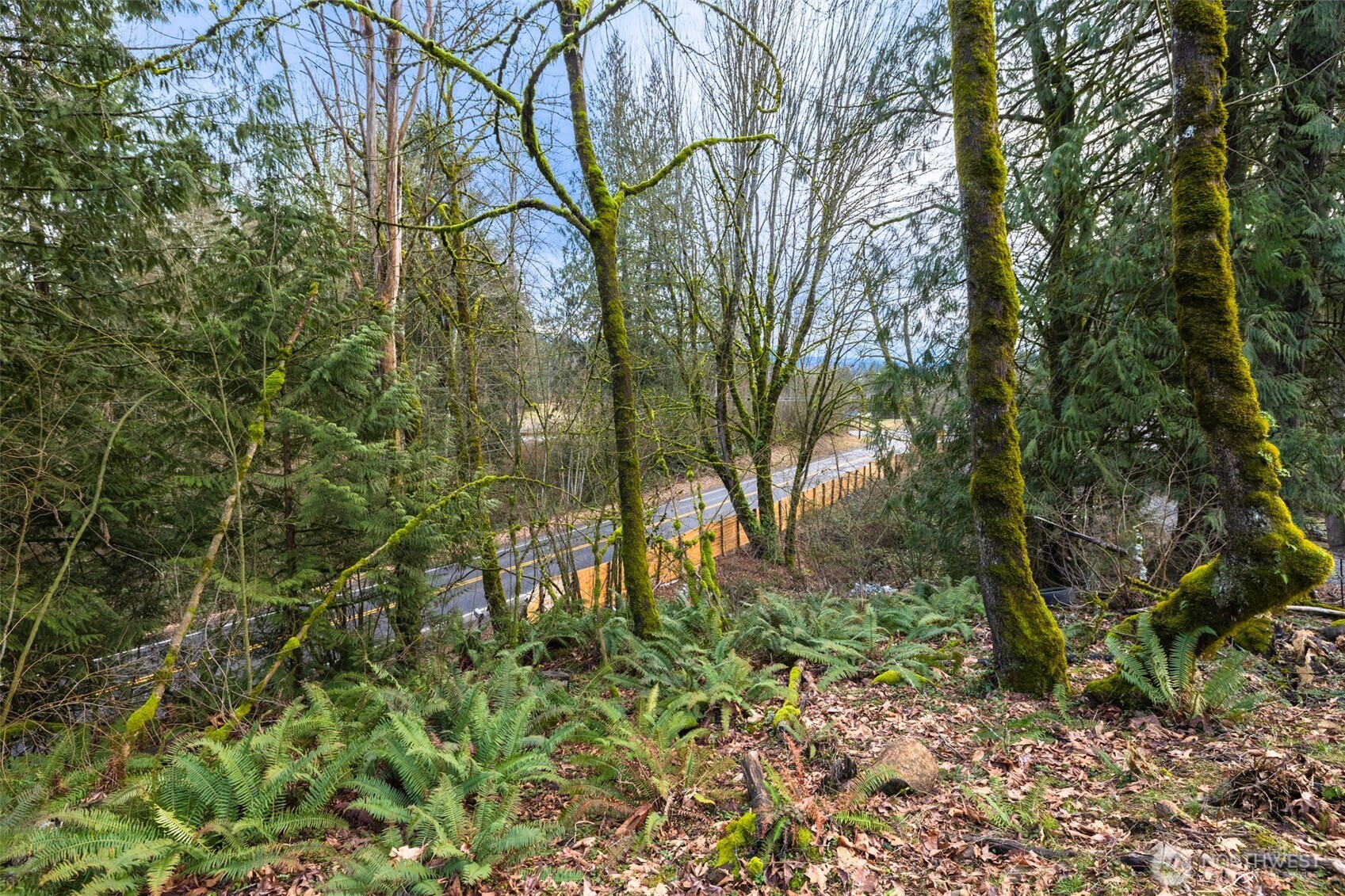 38311 Enumclaw Franklin Rd SE
