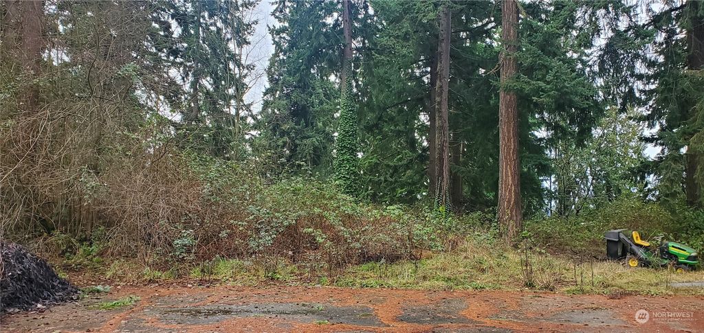 Photo of 1259 SW 301st Street, Federal Way, WA 98023 (MLS # 2195762)